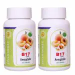 Jivan Shree Vitamin B17 500 Mg Purest Amygdalin 99.5 Percent Apricot Kernel Extract 100 Percent Organic Natural Antioxidant Immune Booster 200 Capsules Pack Of 2 Bottles