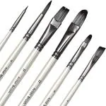 FRKB 6pc Synthetic Mix Black Hair Paint Brush Set for Watercolor and Acrylic Painting