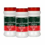 Shree Herbal Oganic Village Jamun Guthli Churna 100 G
