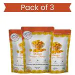 Freeze Dried fruits| Healthy fruits Snacks| Organic Food| Dehydrated Fruits Mango Pack of 3 (20 gm)