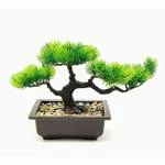 SATYAM KRAFT Artificial Bonsai Tree with Pot and Small Pebbles for Home Decor, Interior Decor, Fake Indoor Plant, Showcase, Room Decor, Table top, TV Showcase (Green, 1 Piece)