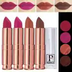PERPAA Antique Velvet Stick Lipstick, Enreached with Jojoba Oil, Shea Butter Pack of 4 Lipsticks, Shade-Nude,Brown,Dark Pink,Red Apple Pink