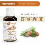 Naturalis Essence of Nature Himalayan Cedarwood Essential Oil for Skin, Hair and Aromatherapy - 30ml