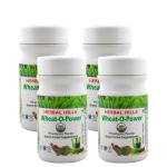 Herbal Hills Wheatgrass Power 100 g (Pack of 4)