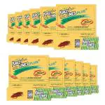 Krazy Lines Plus Chalk (Pack Of 12) Chalk