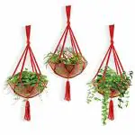 PLANTORI Set Of 3 Pots and Planters - 10 inch Big Size Coir Hanging Baskets with Hanging Durable Hanging Chains (Red and Brown)