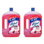 Lizol 2 Litre + 2 Liter - Floral, Disinfectant Surface & Floor Cleaner Liquid | Suitable for All Floor Cleaner Mops | Kills 99.9% Germs| India's #1 Floor Cleaner