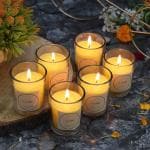 Floish Decor Premium Scented Votive Glass Candles Set | Scented Candles for Home Decor | Scented Candles Gift Set (Vanilla, Pack of 6 Pcs)