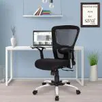 Apex by Savya Home Beatle Medium Back Black Revolving Office Chair