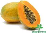 Greenery Hub Organic Papaya Seeds (10 Per Packet)
