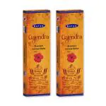 Satya Gajendra Premium Incense Sticks (Pack of 2) (50 Gram Each Box)