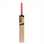 Bondii Sports Advance Tennis Ball Double Blade Kashmir Willow Cricket Bat (1 kg)