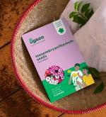 Ugaoo Mesembryanthemum Flower Seeds (Pack Of 200)