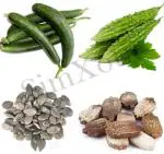 SimXotic Seeds Combo - Sponge Gourd Tori & Bitter Gourd Karela Seeds| HYBRID SEEDS