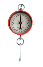 APNA KANHA Raja 100 kg Commercial Hanging Weighing Scale