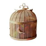 The Home Native Fruit BulBul Basket with mesh (Jaali) & Lid Countertop Ideal for Storing Fruits | Vegetables | Daily Use | Insect Proof, Size-8x8x13 Inches (Golden) Round