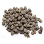 Blackberry Seeds - 1000 gram