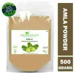 Shudh Online Amla Powder (500g) for Hair Growth, Drink, Eating and Face, Amala Powered Edible, Nellikai, Aawla, Aamla, Amloki, Usirikaya, Gooseberry