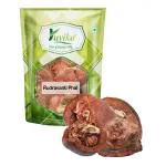 YUVIKA Rudravanti Phal - Cressa Cretica - Littoral Bind Weed (50 Grams)