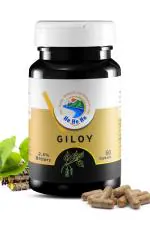 Herbs Herbalist and Herbalism Giloy Herbal Supplement Capsules - 60 Capsules, 2.5% Bitters for Immunity Boost, Controls Diabetes, Increases Platelets, Seasonal Wellness & Detoxification, Ayurvedic, Vegan, GMP Certified