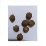 Akshayshree Sales Small Coconut for Pooja [7 Pcs] [Lenth - 8 to 10 cm] [Weight = 60 - 90 GRAM]