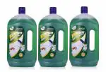 Whitebust Floor Cleaner Liquid for Cleans and Shines to Tiles, Marble, Italian Floor & Surface Cleaner -(Jasmine - 1 Ltr Pack of 3)
