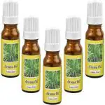 PeepalComm High Scented Aroma Oil 5 Lemon Grass Fragrance Set Of 5 For All Air Freshner A1 Aroma Oil (50 ml)