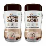 Dr. Morepen WEIGHT GAINER 500GM PACK OF 2