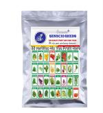 SENECIO 32 Varieties Seed - 2180 Per Packet