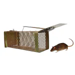 PESTEZY Mouse/Rat Trap cage/Big Iron Rat Trap for Catching Rats/Mouse Catcher Box/Chuha Pakadne ka Pinjara Cross Design with New & Heavy Quality (Medium, 26x11.5x10cm)