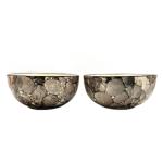 STOREPEDIA Ceramic Katori/ Bowls Set , Microwave , Dishwasher safe, Pack Of 2