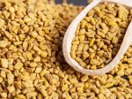 Meenakshi Spices - Whole Fenugreek Seeds | Sabut Methi Dana | 200g