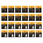 Auric Vegan Protein Powder for Men & Women | Meal Replacement Shake for Muscle Support (Protein Combo) | Helps In Weight Management | 24 Sachet | 21g Plant Protein & 6g BCAA in every sachet