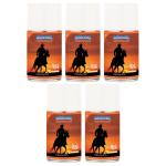 Airance Air Freshener Spray- 250 ml (Pack of 5, Musk)