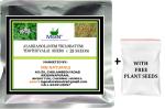 MGBN THE PATH FOR THE HEALTHIER LIFE WITH BEAUTY Alarka, Solanum Trilobatum, Thothuvalai 15 Seeds (with Free Plant Seeds)