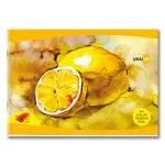 Youva Navneet| Yellow Drawing Notebook for Students and Budding Artists| Small Size| A4 size 21 cm x 29.7 cm| 36 Pages| Pack of 6