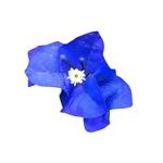 Nema Bougainvillea Spectabilis Flower Seeds-Blue-100Pcs