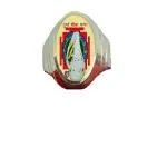 R G Mart Ashtadhatu Durgabeesa Shank Yantra With Para Gold Plated Brass Ring, Ashtdhatu Durga Bisa Shankh Ring for Men (Size - 28)