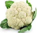 Tamransh Soniro Cauliflower F1 Hybrid Seed Phool Gobhi Seed, 40 Seeds