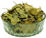 Nutrixia Gudmar /Gurmar/ Medhaasingee/ Gymnema sylvestre / Periploca Of The Woods 100 Gms