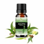 Farming Drop Eucaluptus Essential Oil | Therapeutic Grade | Pure | Natural Oil (Eucalyptus, 30ml)