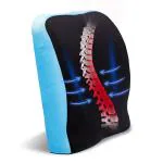 Bekvam Polyurethane Foam Blue Lumbar Support Pillow