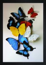 saf Painting Ink 20 inch x 14 inch Painting (With Frame) SAA3170