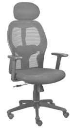 qwqbuy Marvel Ergonomic Chair High Back Desk Chair with Adjustable Lumbar Support, Headrest and Armrest Mesh Computer Chair SpinePro Adjustable Cushioned Ergonomic Lumbar Support for Desk Chair Black