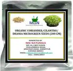 Mgbn The Path For The Healthier Life With Beauty Organic Coriander, Cilantro, Dhania Microgreen Seeds, 200 Gm