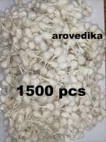 AROVEDIKA COTTON WICKS 1500 PCS WHITE WICKS