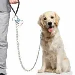 THE DDS STORE Heavy Duty Dog Leash,Metal Dog Leash Dog Chain with Handle for Small & Medium Large Size Dogs (Color May Vary) (Handle Chain, X-Large)
