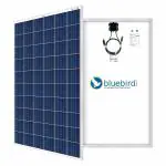 Bluebird Solar 275 Watt 24 Volt Polycrystalline Solar Panel (BIS Certified)