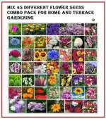 SEEDS EVOLUTION 45 Varieties Of Flower Combo Pack Seed (2000 per packet)