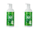 Ecoliv Tropical Mix Natural Handwash 1Litre| Pack of 2 x 500 ml Bottle| pH 5.5 hand wash | Strong Germ Protection